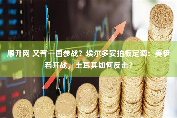 顺升网 又有一国参战？埃尔多安拍板定调：美伊若开战，土耳其如何反击？