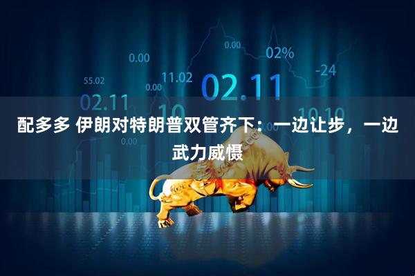 配多多 伊朗对特朗普双管齐下：一边让步，一边武力威慑