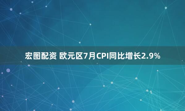 宏图配资 欧元区7月CPI同比增长2.9%