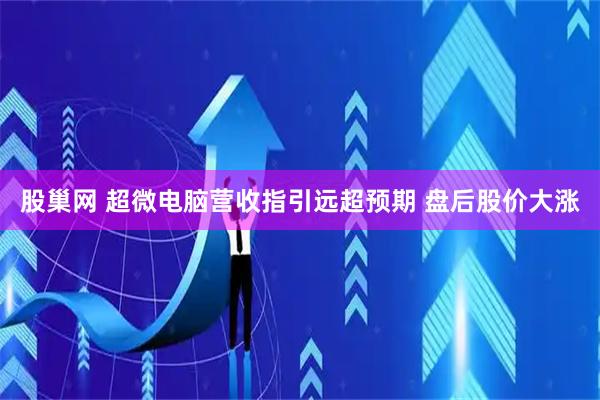 股巢网 超微电脑营收指引远超预期 盘后股价大涨